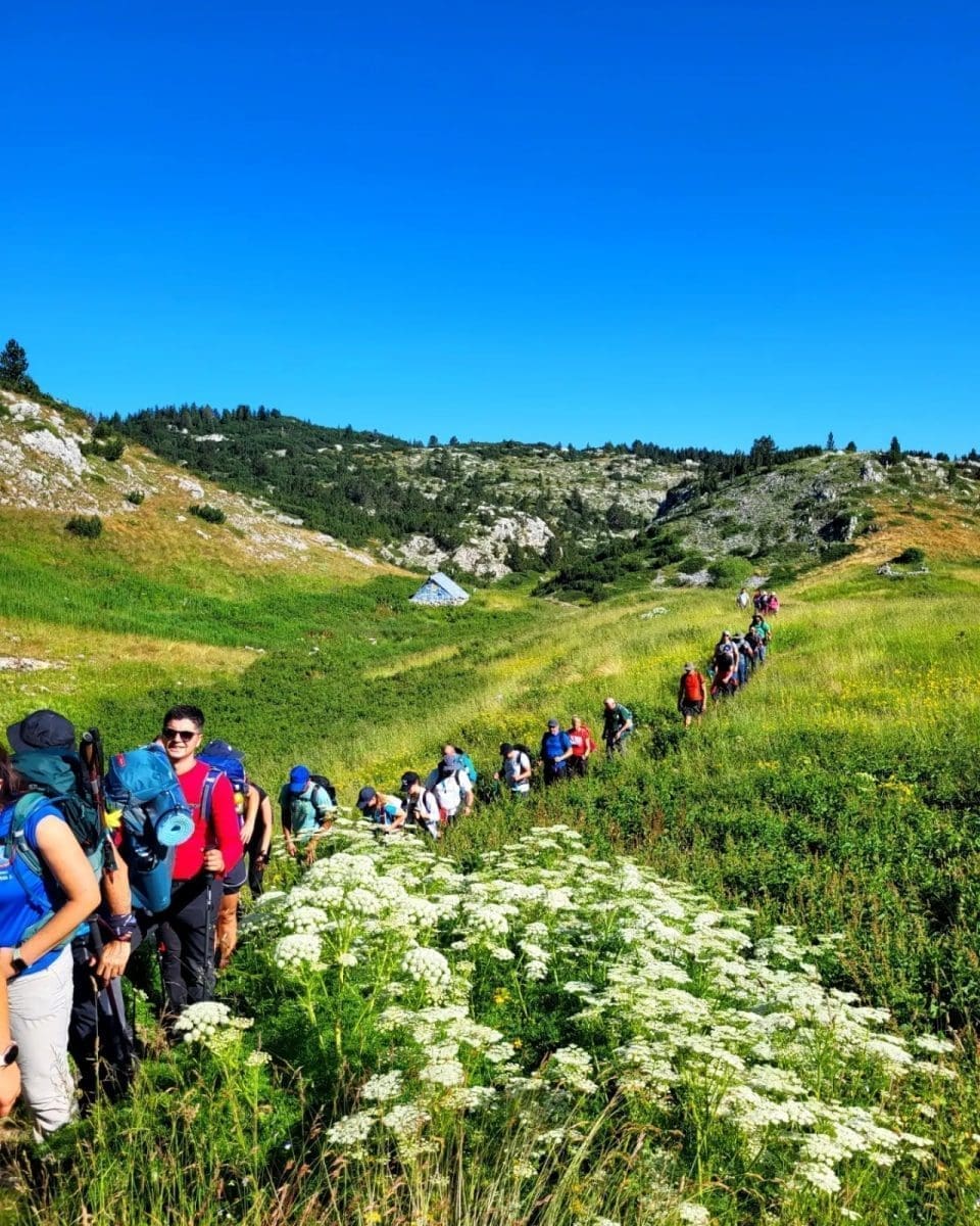 memorijal ivica plazonic 1 