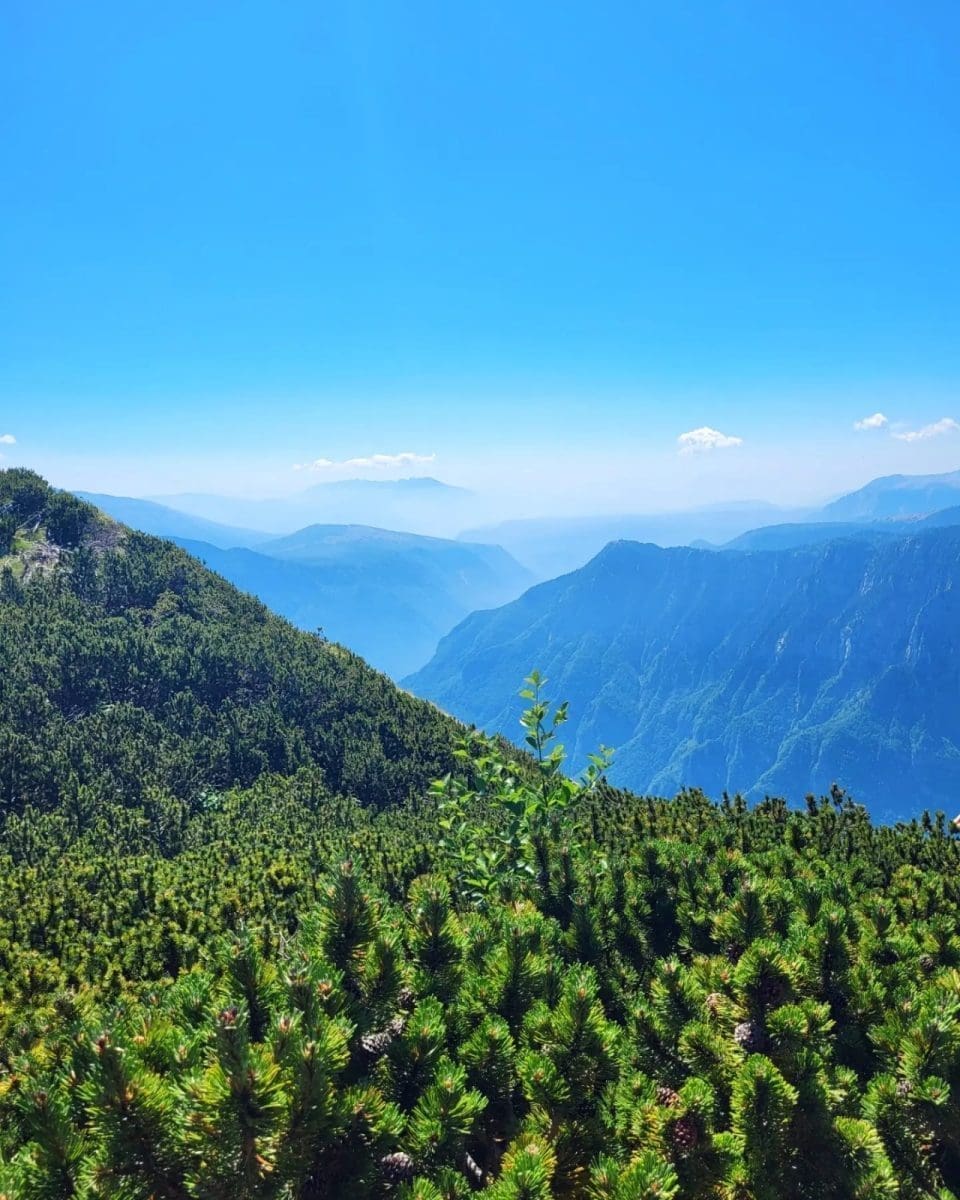 memorijal ivica plazonic 3 