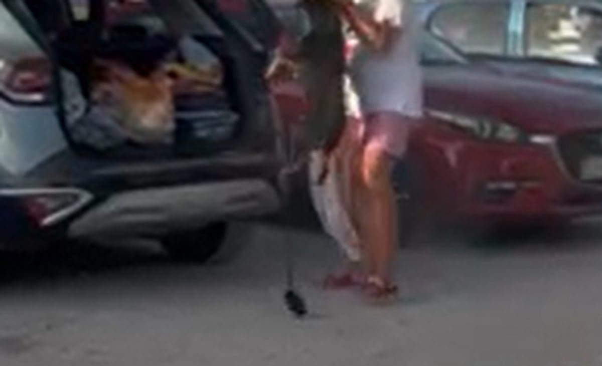 pas prve vode mucenje 1 