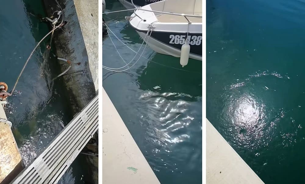 VIDEO Čovjeku "prekipjelo" zbog snimke za koju su se zakačili teoretičari zavjera: "To je prirodna pojava, vidio sam ovo stotine puta"