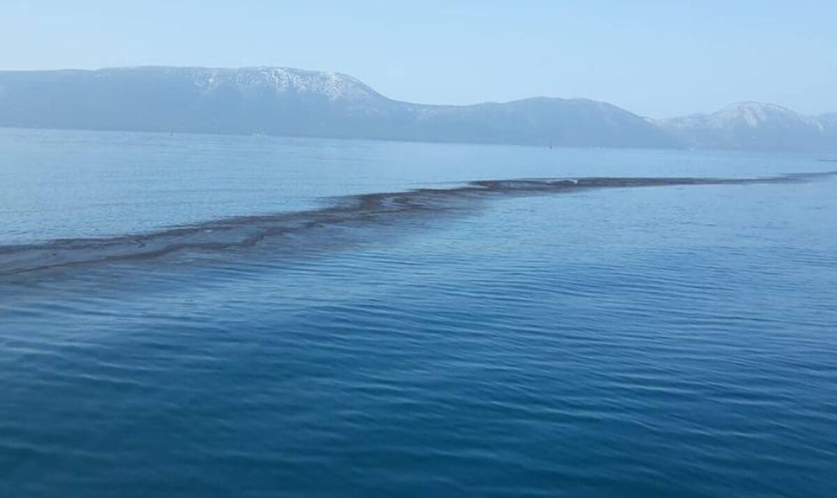 ploce prasina ugljen 2 