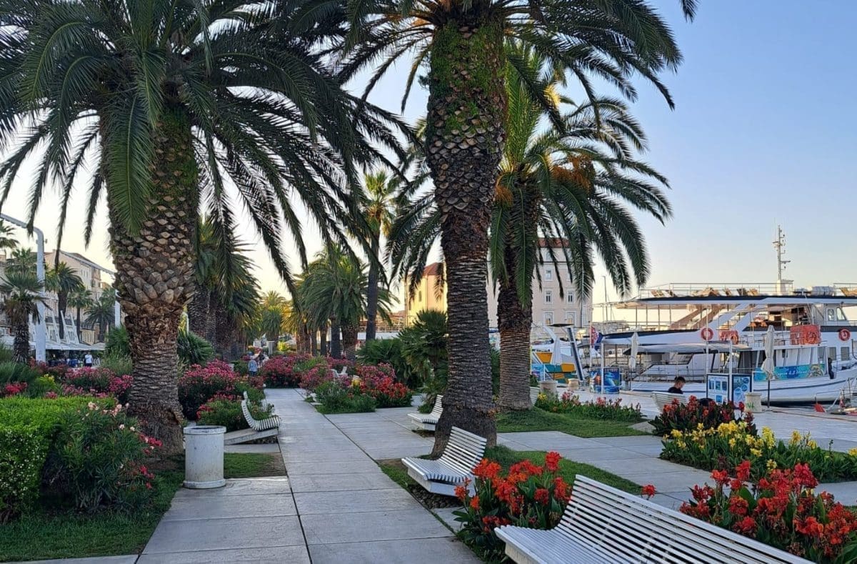 IZNENAĐUJUĆI PRIZORI NA RIVI: "Nakon Ultre, blista kao u dnevnom boravku"