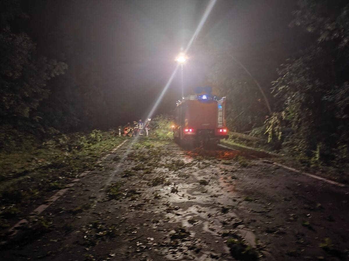 sanancija ceste nakon oluje 2 