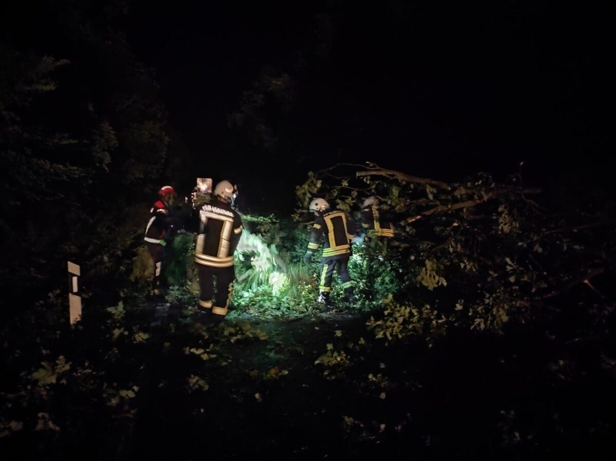 sanancija ceste nakon oluje 3 