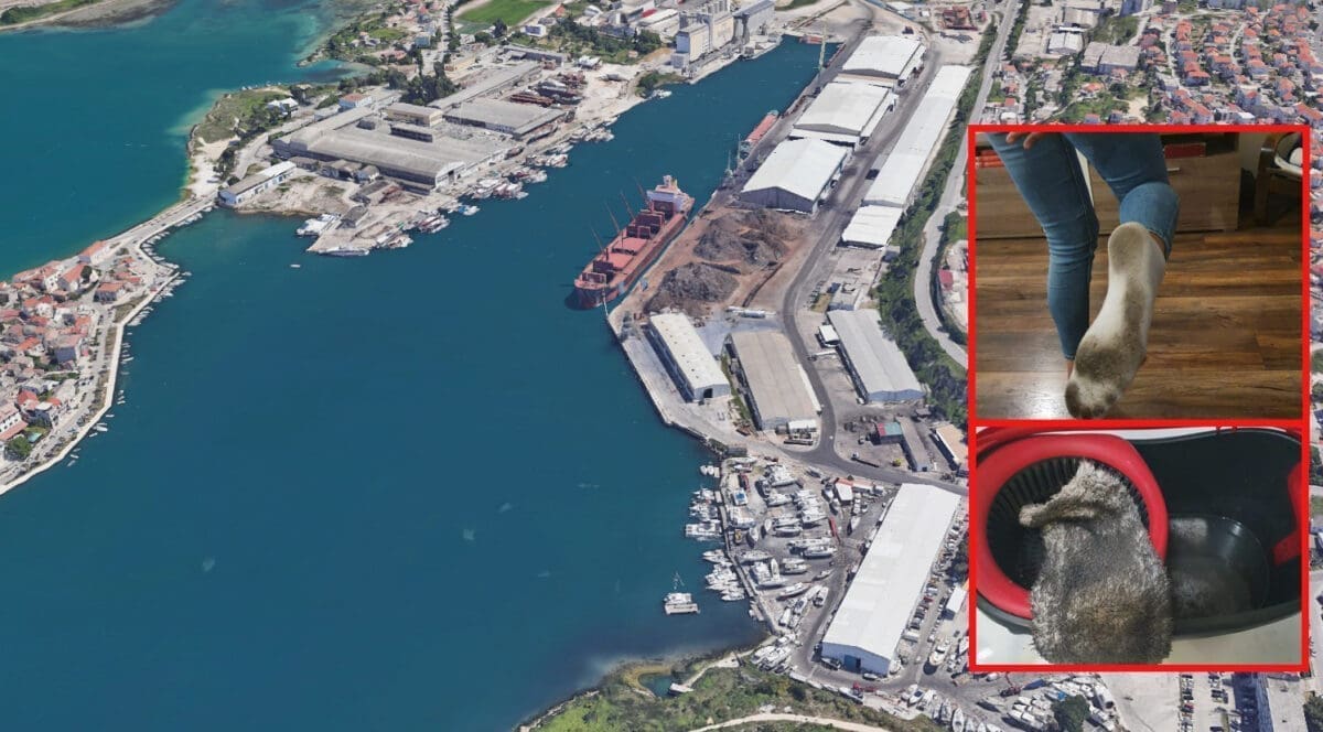 INSTITUT OBJAVIO REZULTATE ISTRAŽIVANJA Ovo su razine teških metala u podmorju Sjeverne luke!