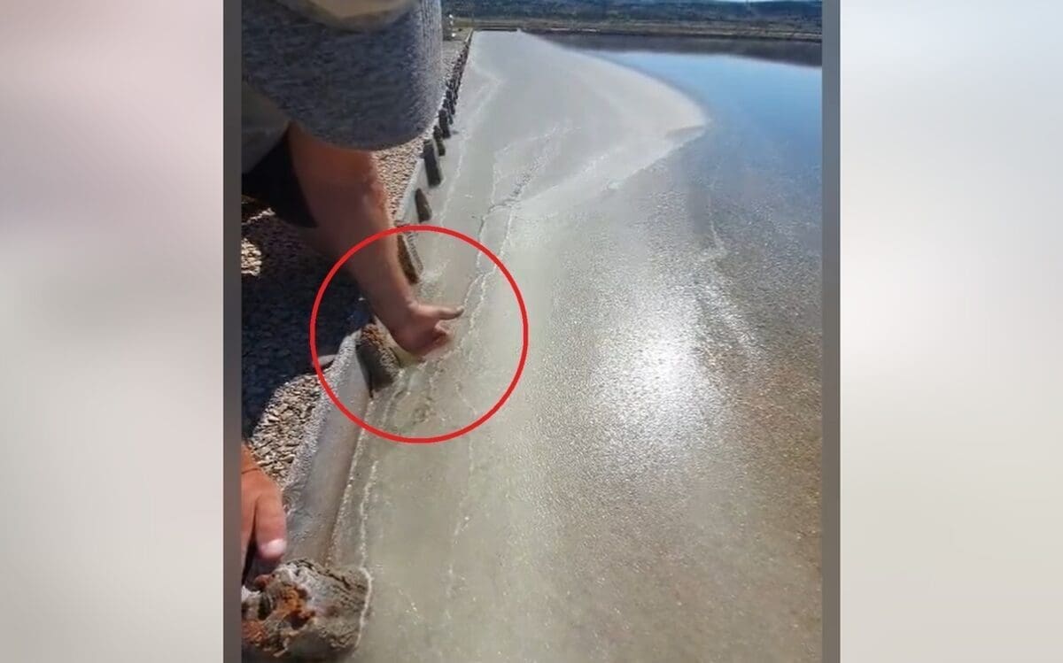 FASCINATAN VIDEO IZ DALMACIJE Morate vidjeti što ovaj čovjek radi, video je hit na društvenim mrežama