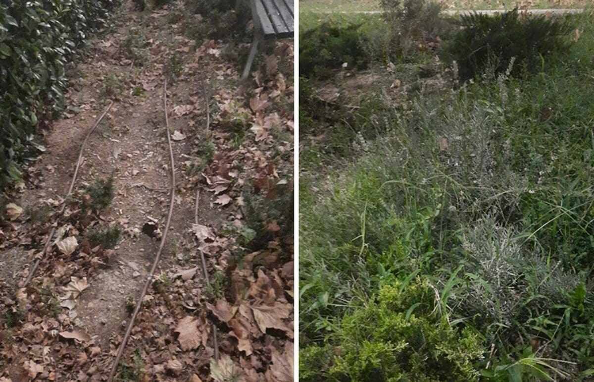 UŽAS I JAD NA SPLITU 3 Javnost alarmirala i predsjednica kotara: "Je li to ta renesansa?"