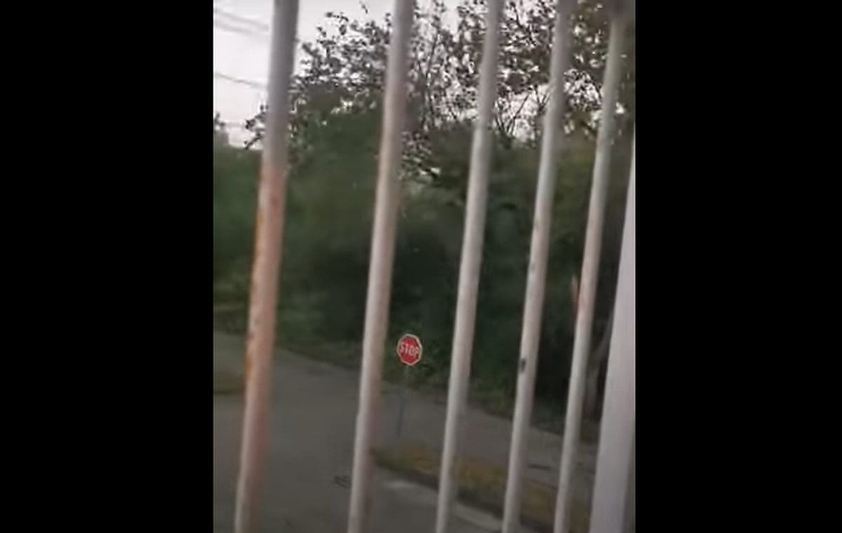 UDARNA VIJEST U HRVATSKOJ Stravično nevrijeme poharalo Zagreb. Poginule dvije osobe!