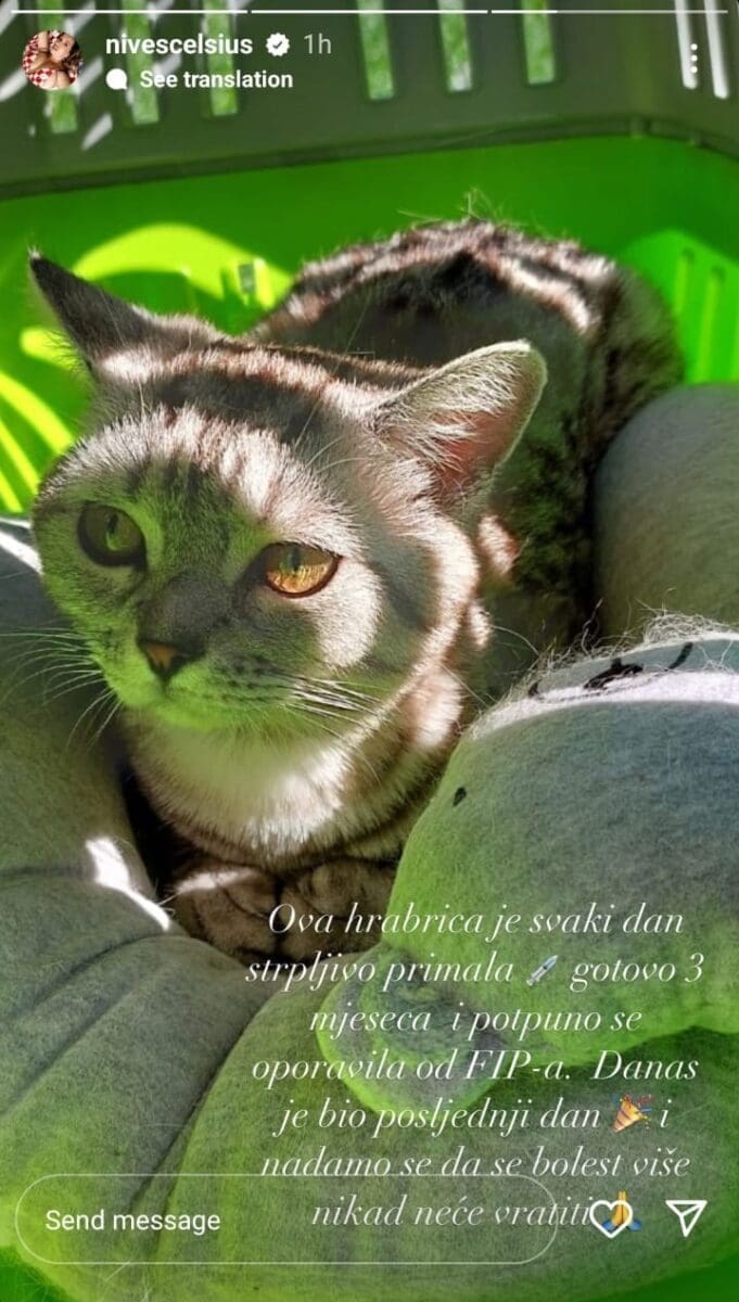 2023 08 22 22 26 2707 