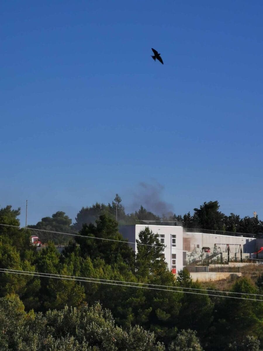 Vrti 002 14 srpnja 2023 