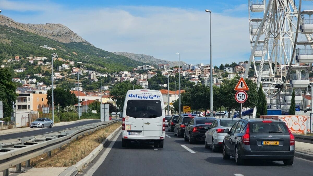 dalmatinac pretjecanje 4