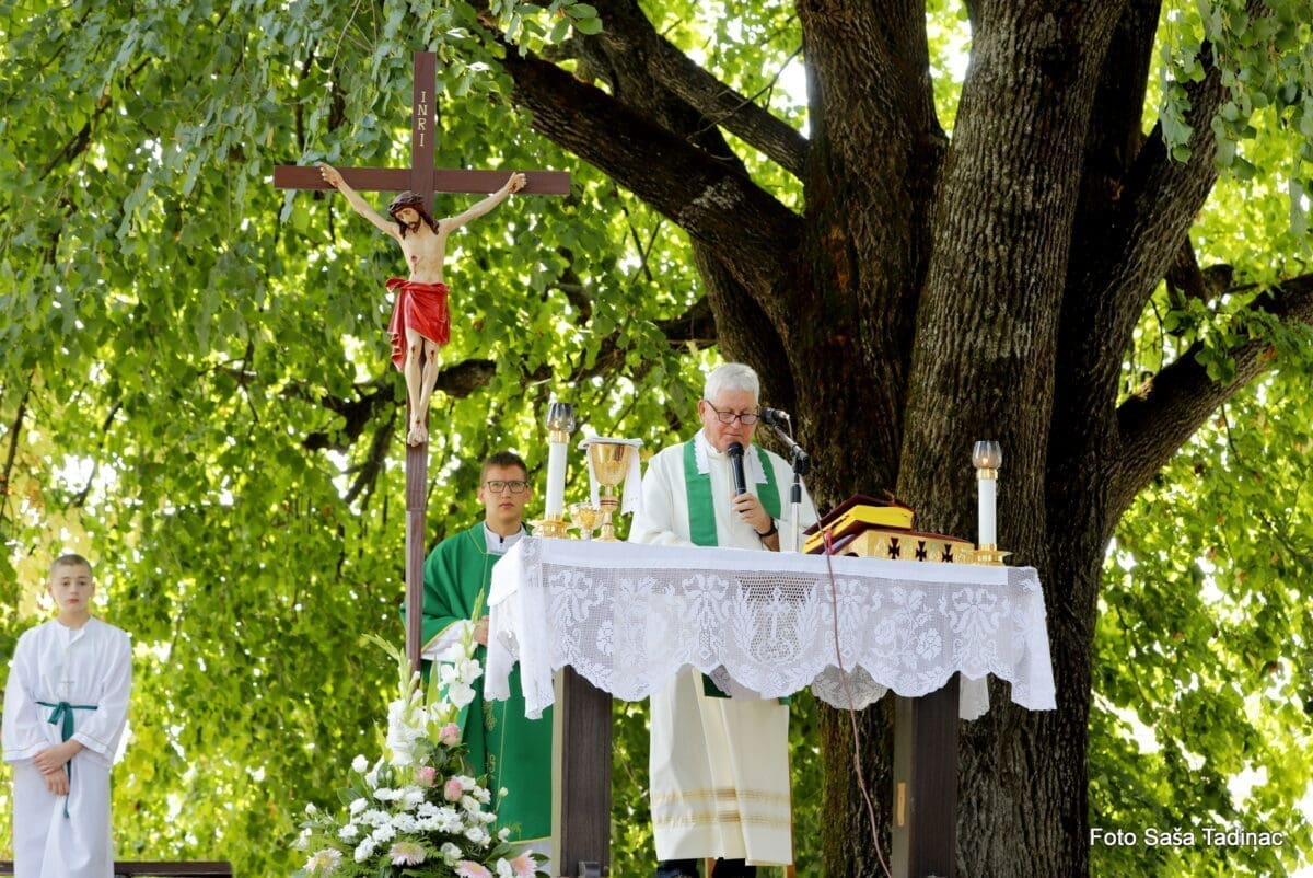 don slavko volarevi 6