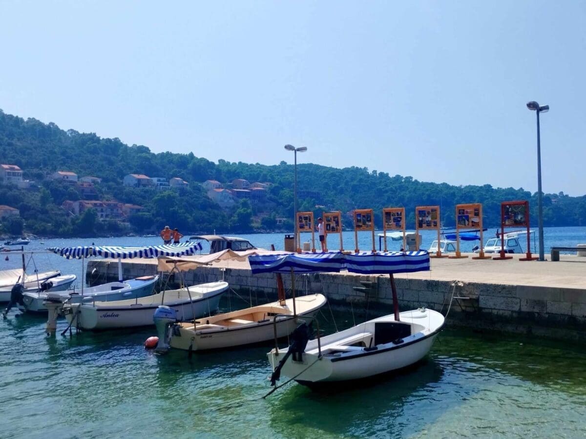 Na svjetski dan fotografije postavljena izložba 'Smokvica srce Otoka'