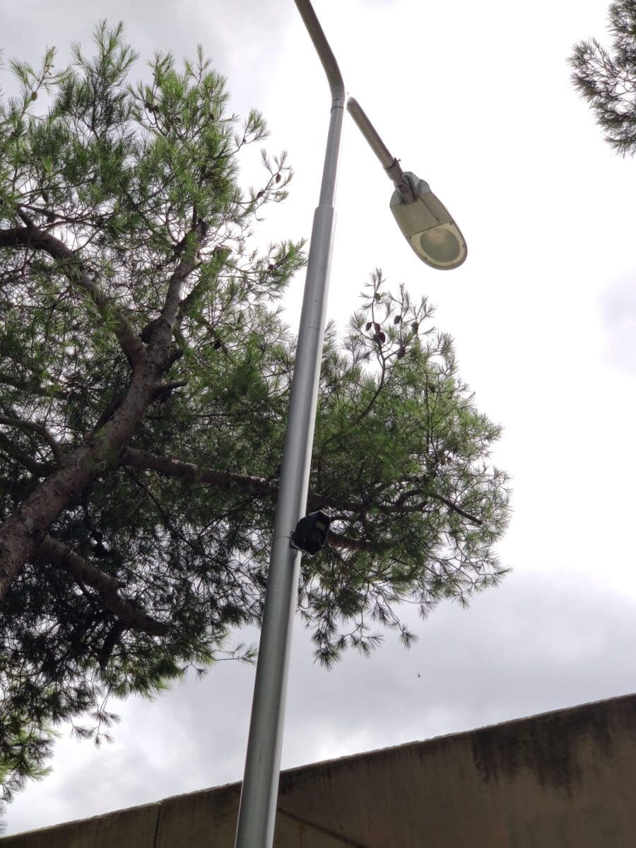 kamere smece pujanke  4 