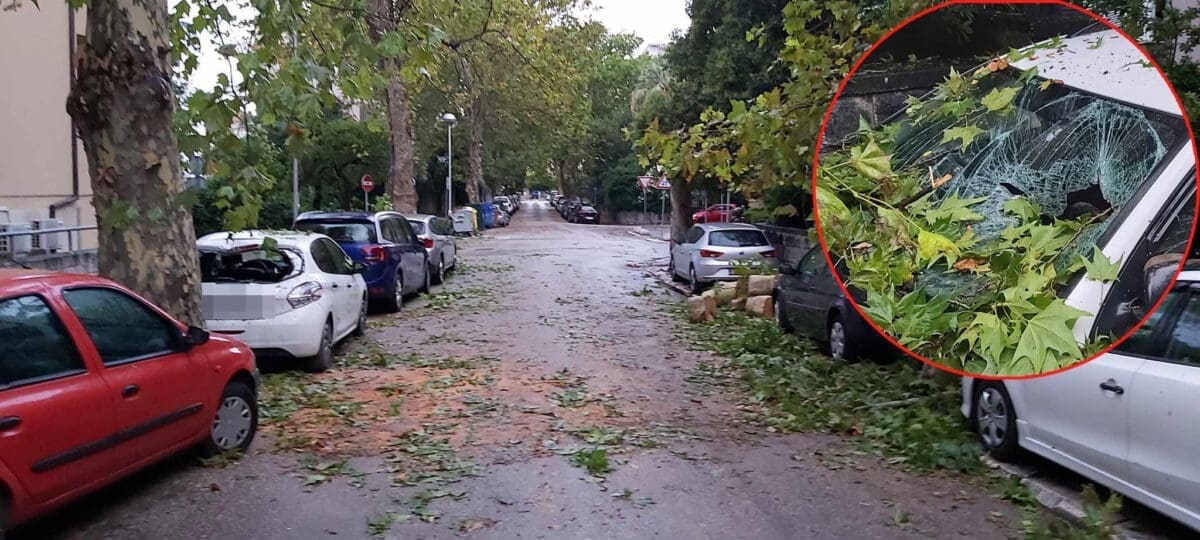POSLJEDICE NEVREMENA U SPLITU Dio stabla pao na automobile na Bačvicama, pogledajte fotografije