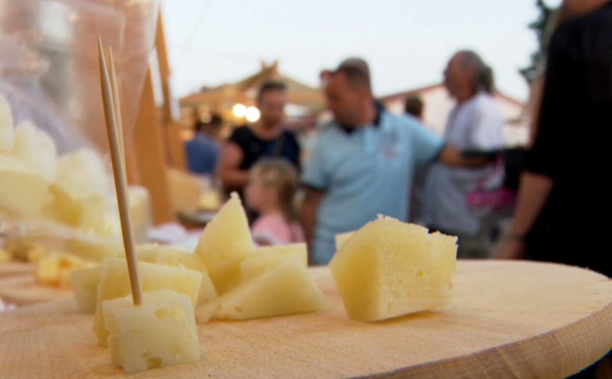 U čemu je tajna Paškog sira? "Ovca je jedna životinja koja je zadužila ovaj otok"