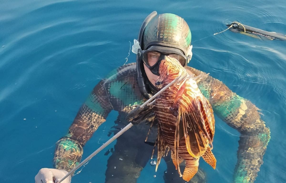 OPET SE POJAVILA OTROVNA RIBA NA JADRANU Evo što trebate napraviti ako vas ubode riba paun, ozljede mogu biti kobne