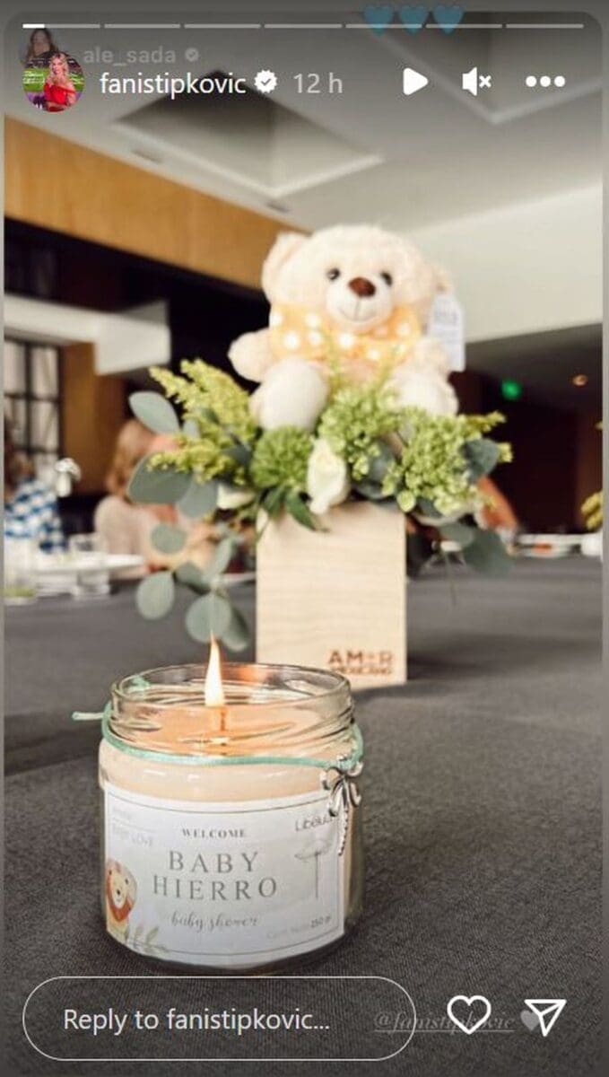 62635029 fani stipkovic