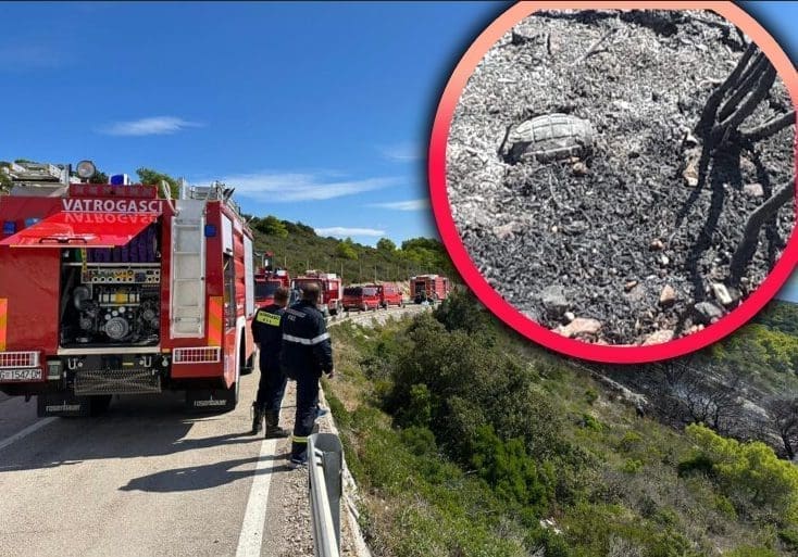 Auto se prevrnuo na Visu, izazvao požar. Tek onda je uslijedio pravi šok