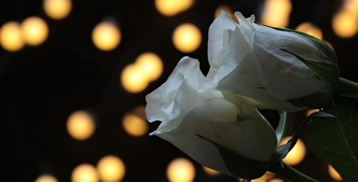 Ujak poginulog Martina: "Trebao je proslaviti 30.rođendan, već je spremao feštu za 30. rođendan, sad ga više nema"