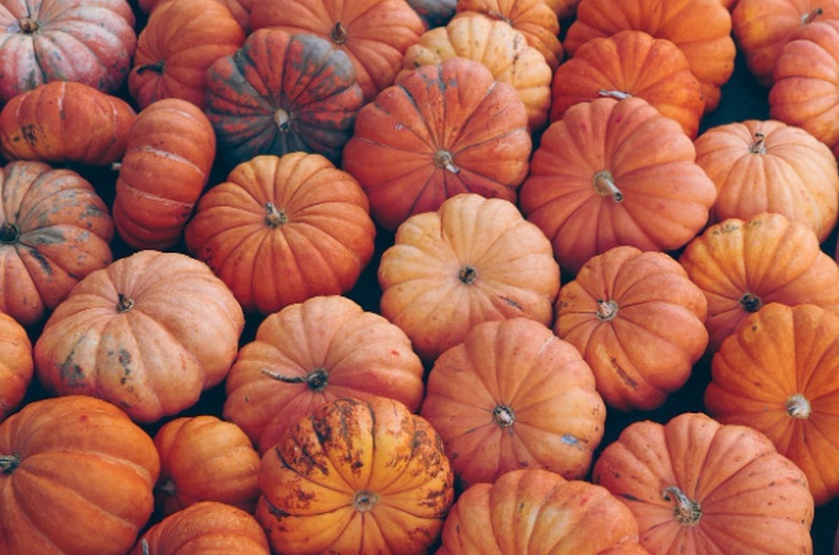 Doktorica je cijeli tjedan jela bundevu – rezultati su je šokirali