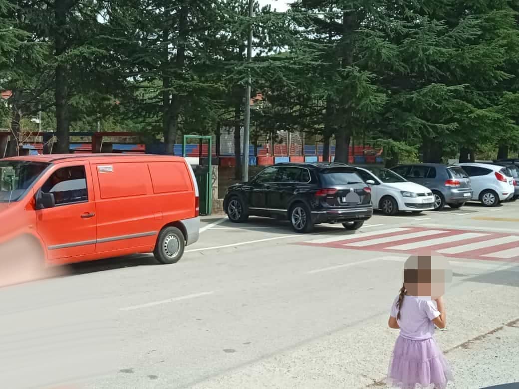 dicmo auto parkiranje 2