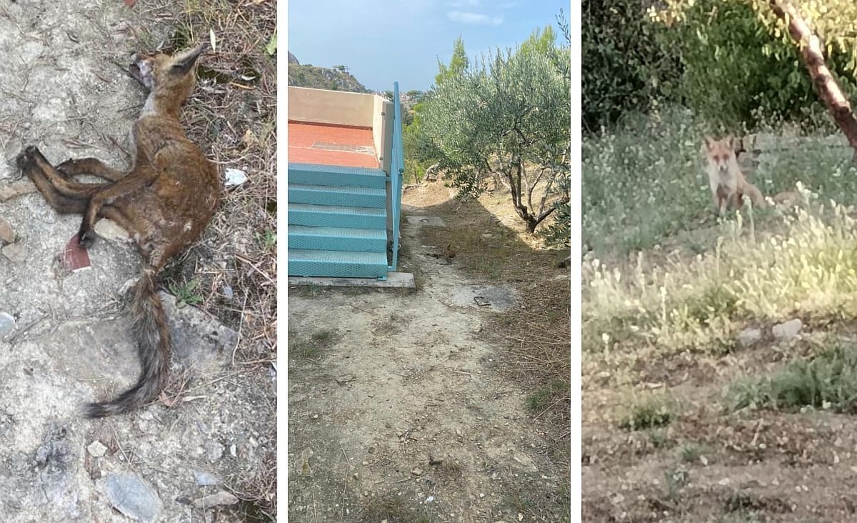 VIDEO Djeca splitske škole u šoku nakon prizora koji ih je zatekao: "Danima smo upozoravali!"