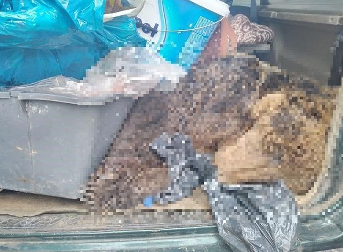 UZNEMIRUJUĆ PRIZOR Policija zaustavila automobil splitskih registracijskih oznaka. Šokirali su se...