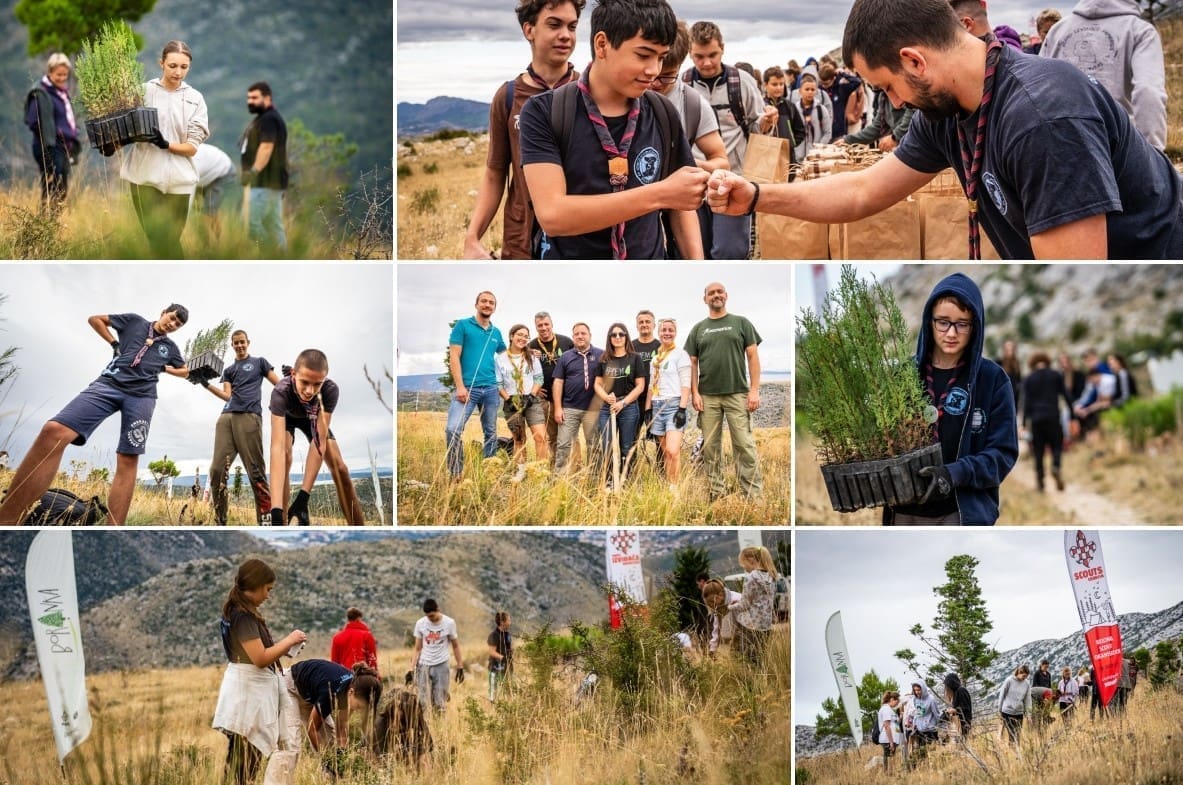 Započela 6. sezona kampanje Boranka: Splitski srednjoškolci i izviđači pošumljavali požarišta na Mosoru, a pridružili im se i Makedonci
