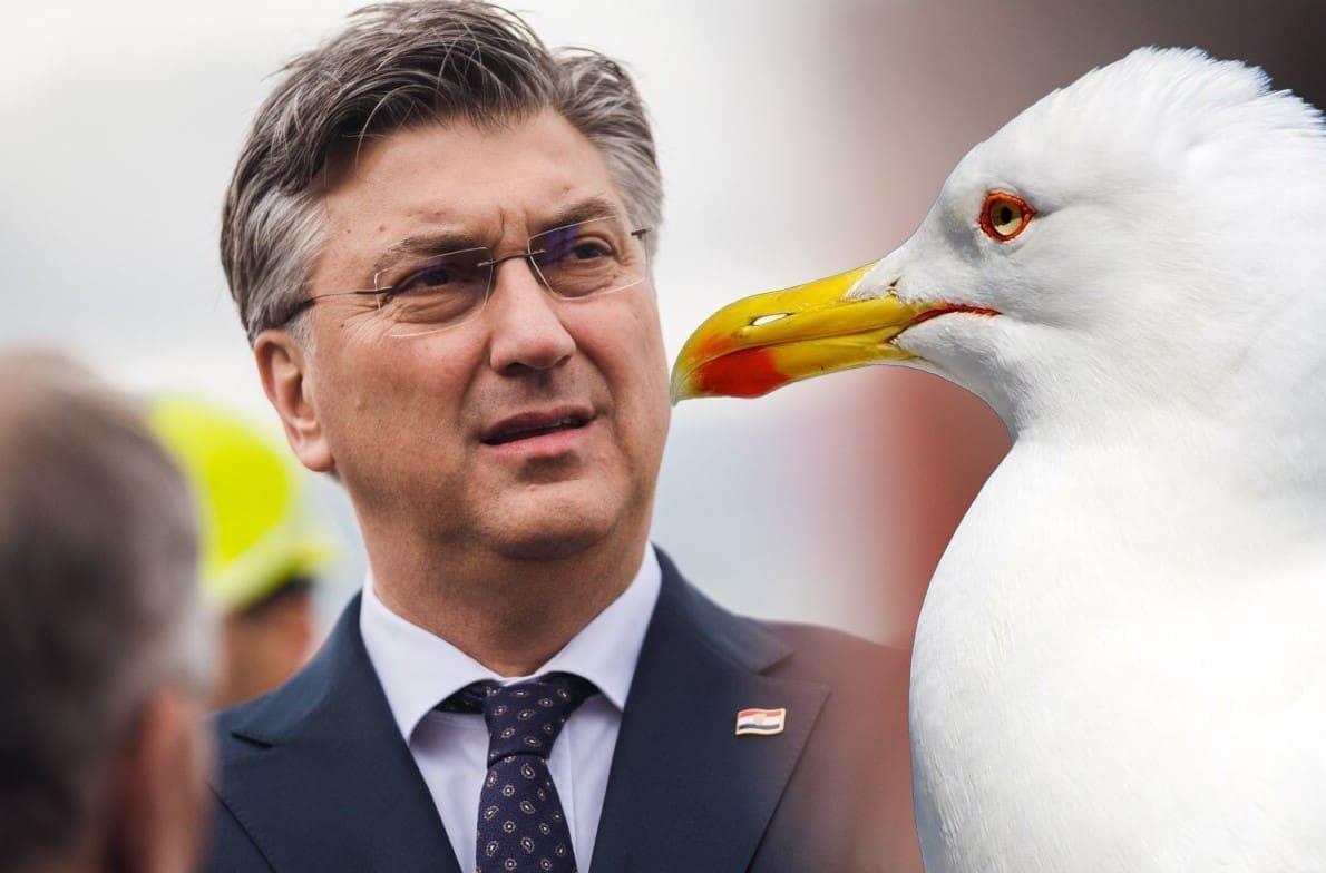 GALEB SE "ISTRESAO" NA PREMIJERA Plenković stigao u Dalmaciju, pričao o novom paketu vlade, a onda se dogodila neugodna situacija