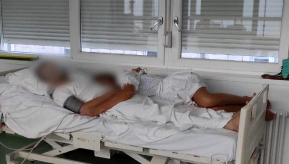 sanja cosic kresimir crnogaca