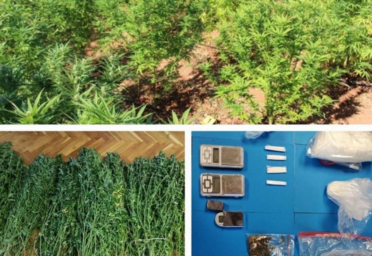Policija na Visu pronašla plantažu konoplje, više od 800 grama speeda i kokain