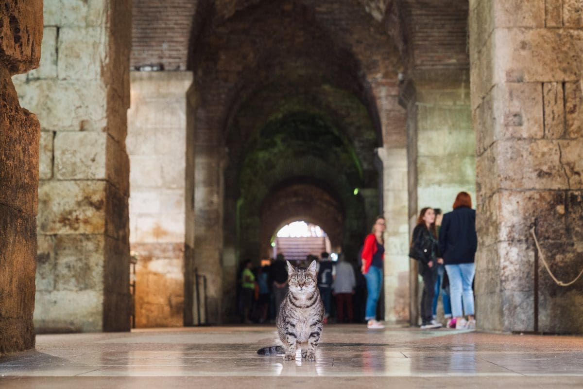 10 24 dioklecijanovi podrumi standovi 1