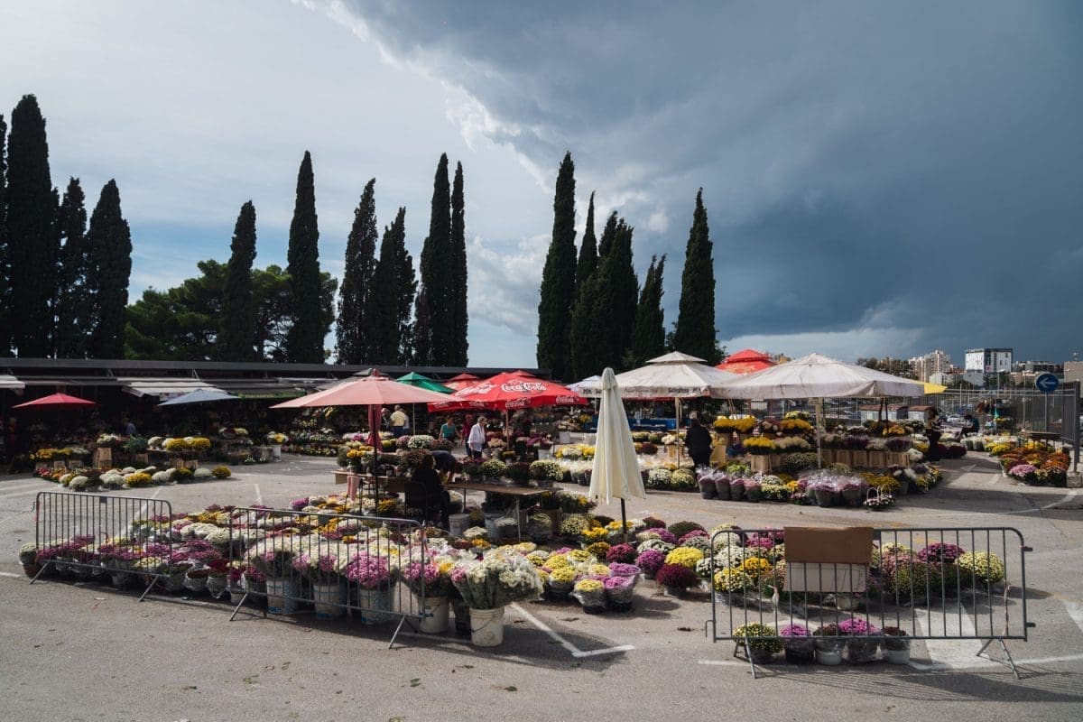 10 26 lovrinac cvijece 1