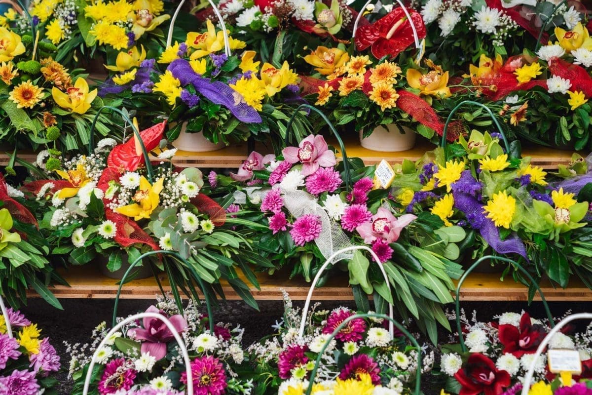 Gradonačelnik Bulj omogućio prodaju cvijeća na Cvjetnicu