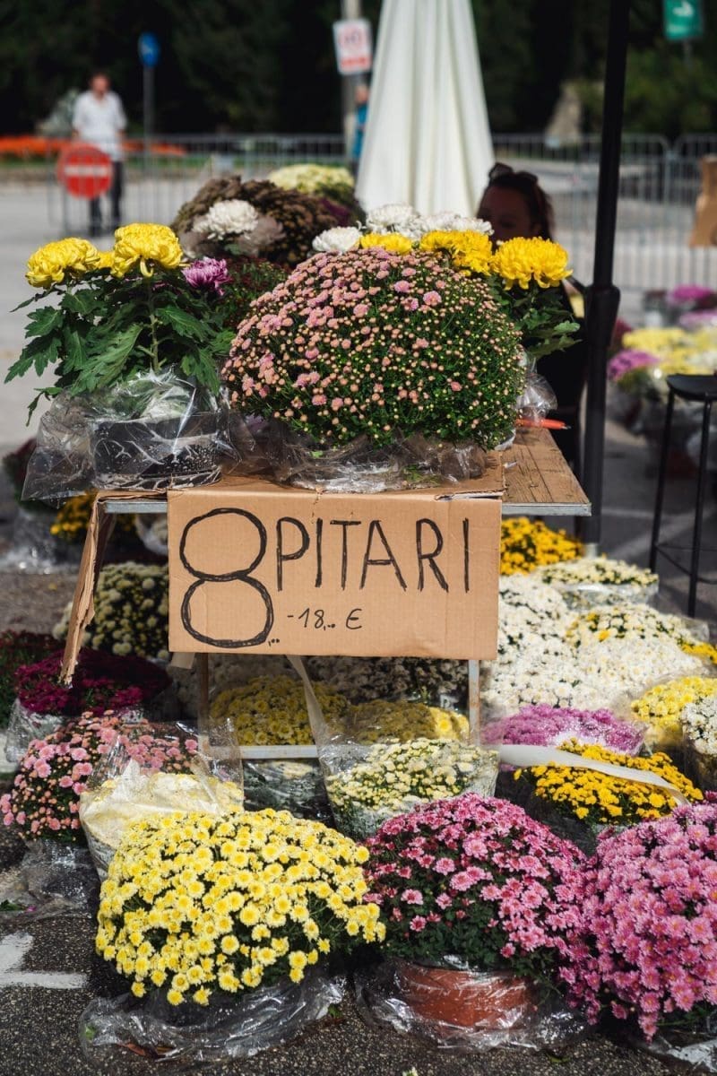 10 26 lovrinac cvijece 3