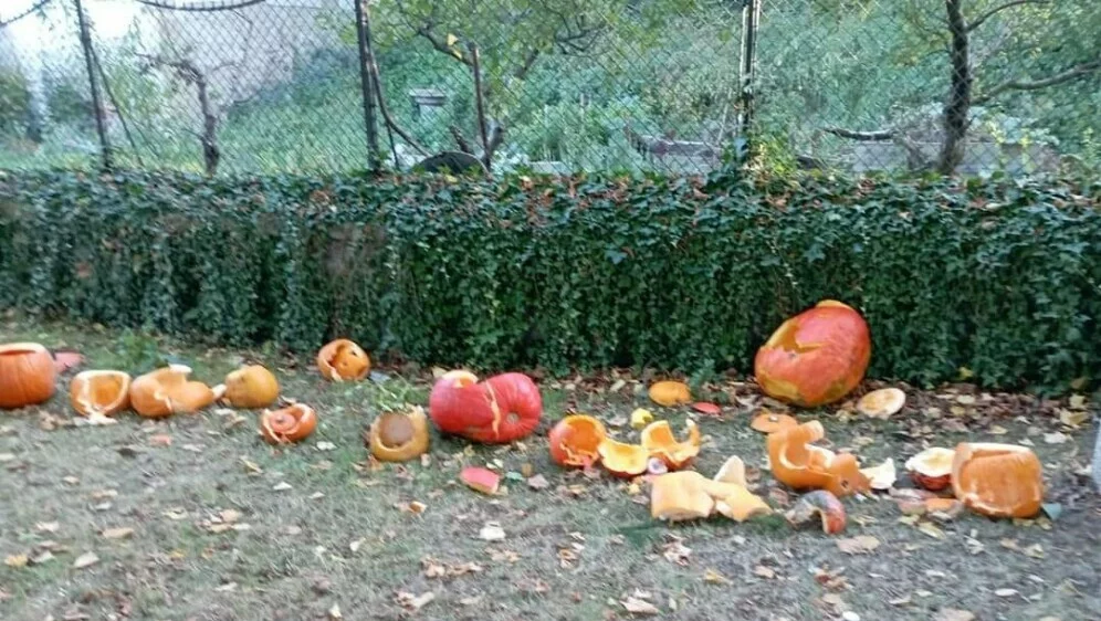 MALIŠANI U SUZAMA Župnik uništio bundeve koje su izrezbarila djeca: “Ugledao sam simbole sotonske svetkovine”