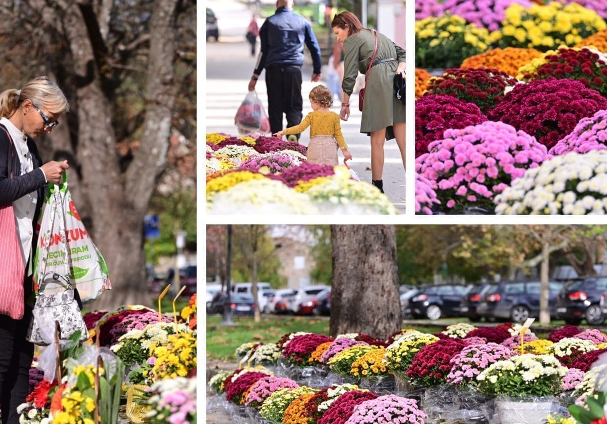 JE LI ISPLATIVIJE KUPITI CVIJEĆE U SINJU ILI SPLITU? Prodaja aranžmana u punom jeku: Evo gdje ćete proći jeftinije