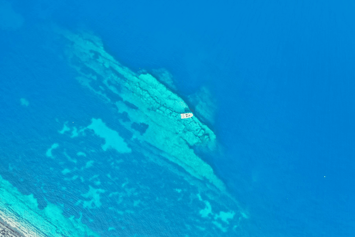 EFFICIENTN2K Stupisce