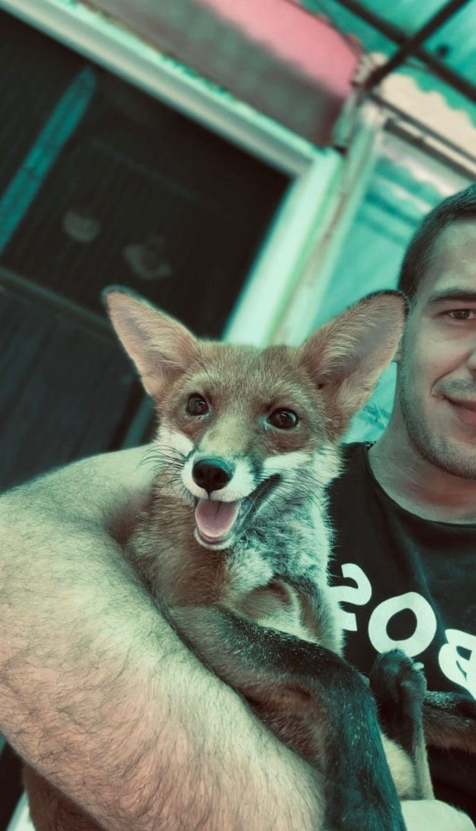 Jasmin Kunisanac lisica 2 