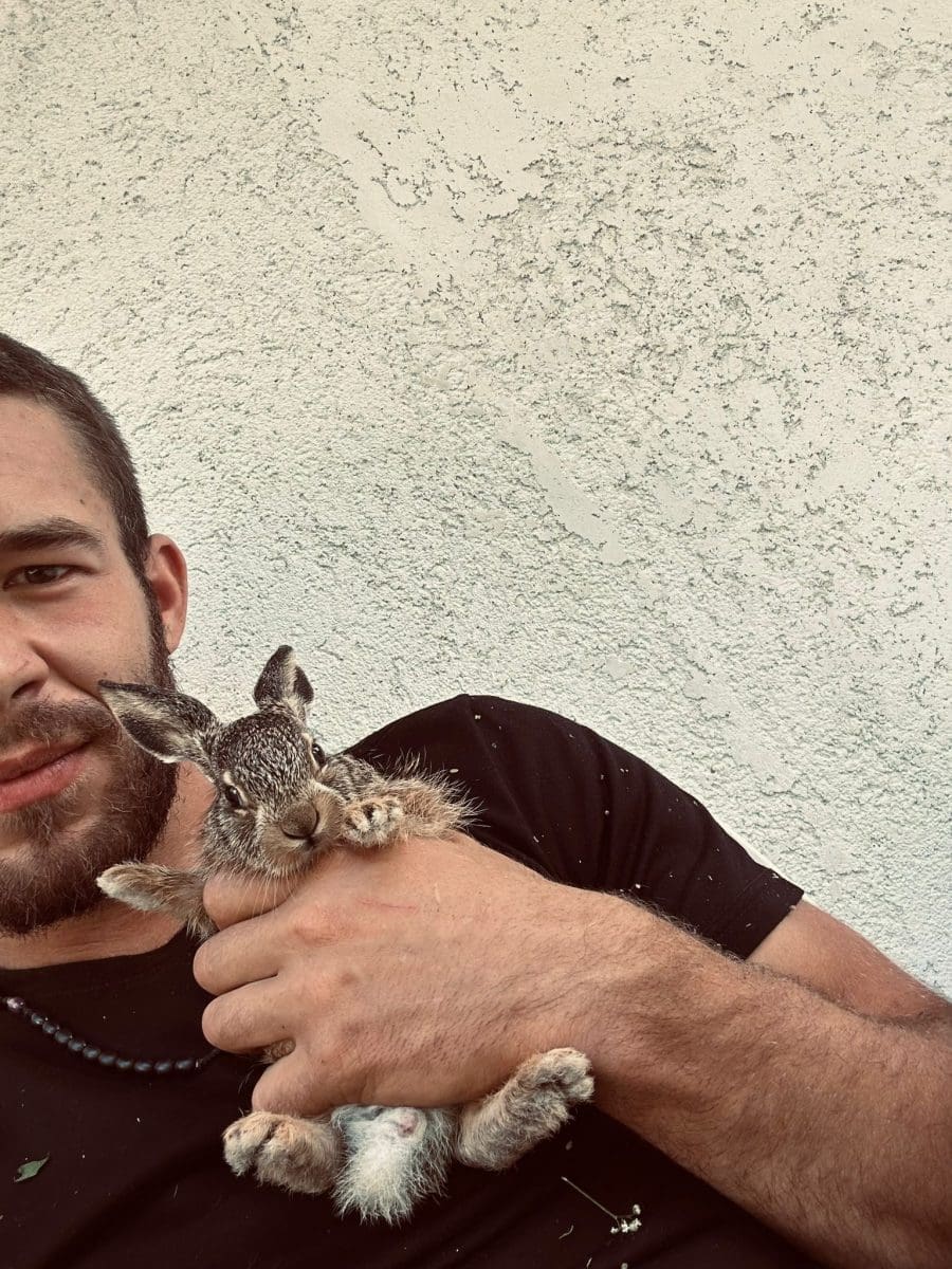 Jasmin Kunisanac lisica 4 