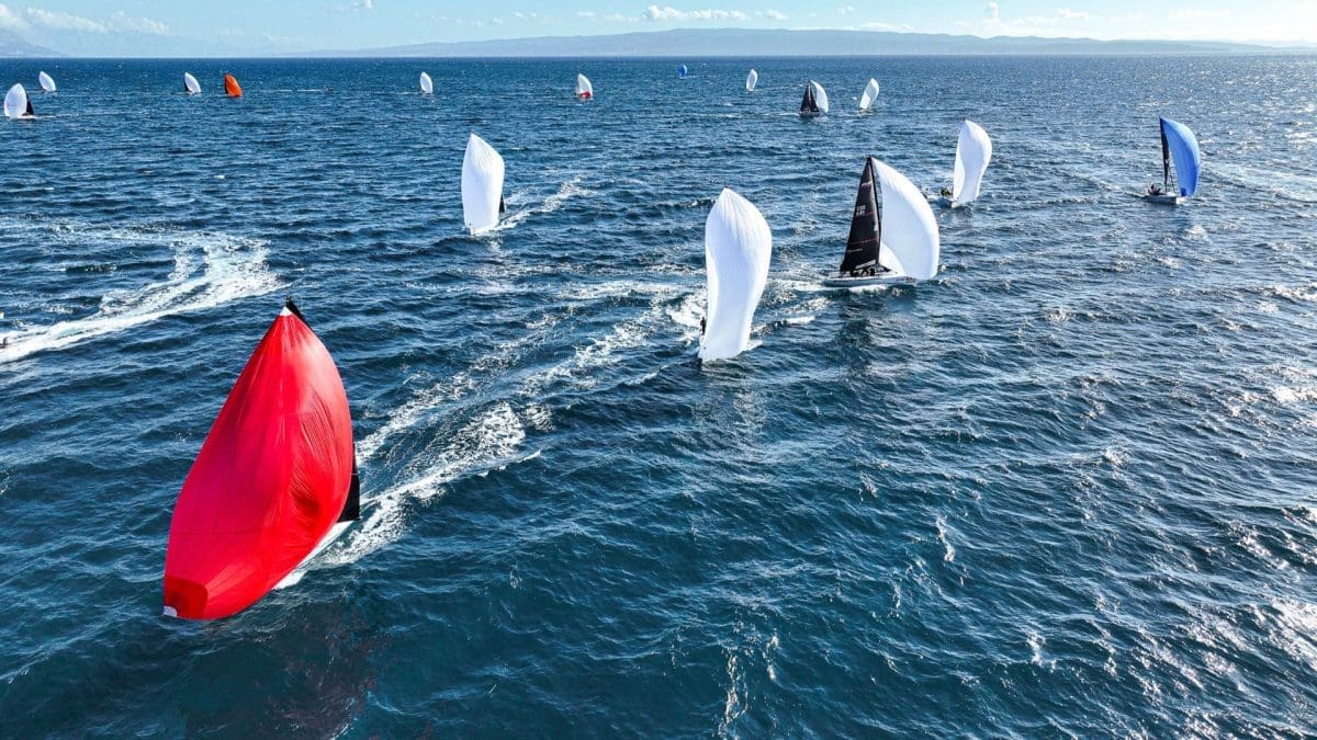 Split European Series M24 2