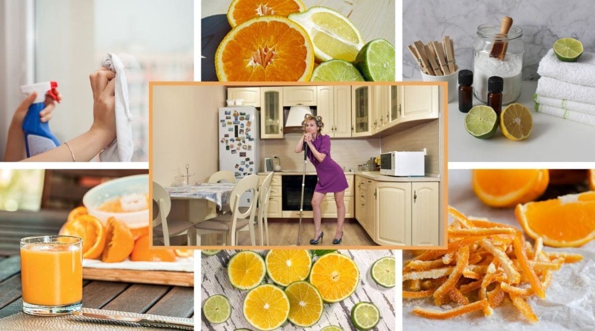 NE BACAJTE KORU AGRUMA! Neprskanom korom naranče ili limuna očistite kuću, potom napravite slasticu, čaj ili alkoholno piće. I uživajte!