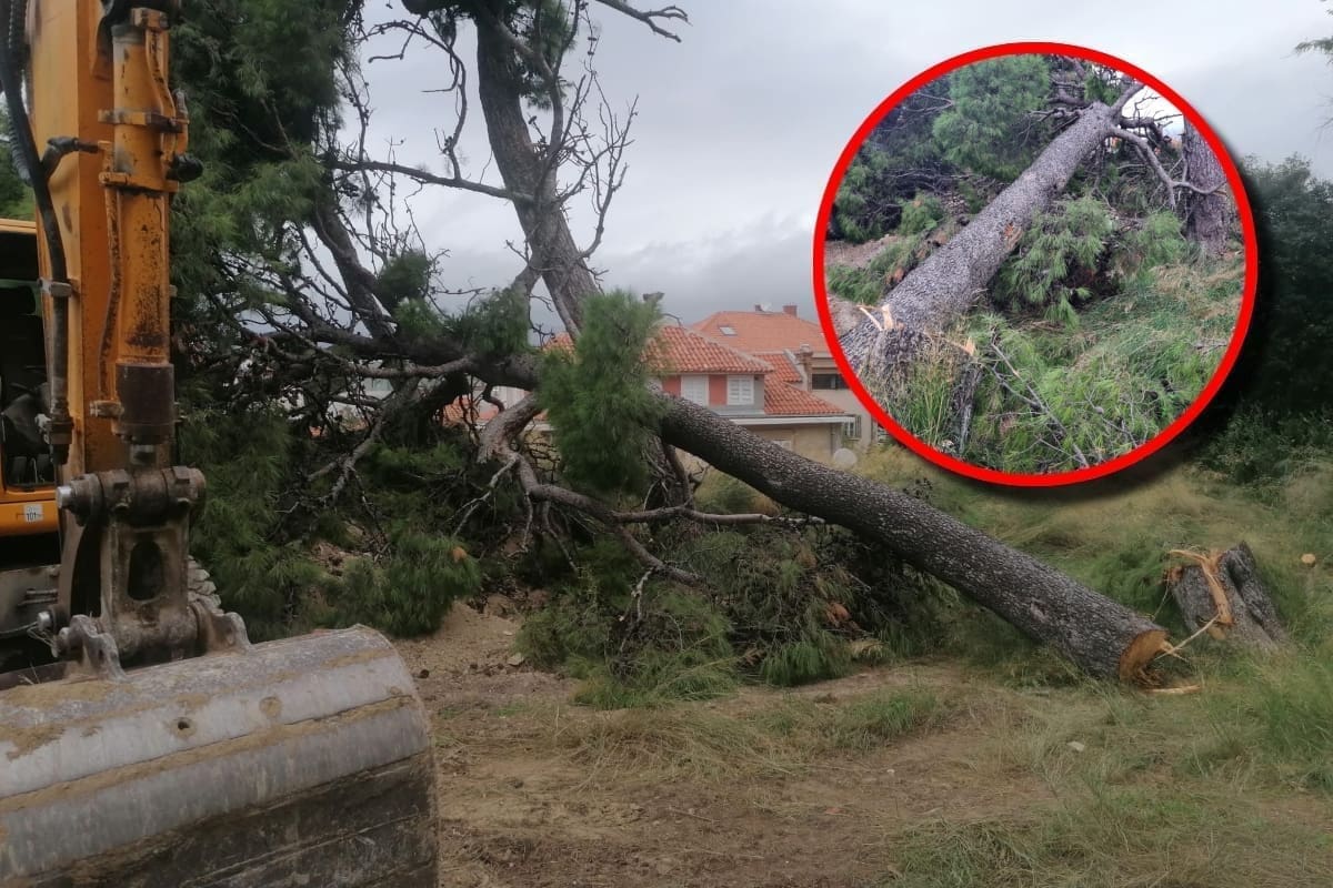 S MOTORKAMA OTPILALI STABLO NA GRIPAMA, POBJEGLI U CRNOM MERCEDESU Ivošević kratko komentirao: 'Teroristi!'