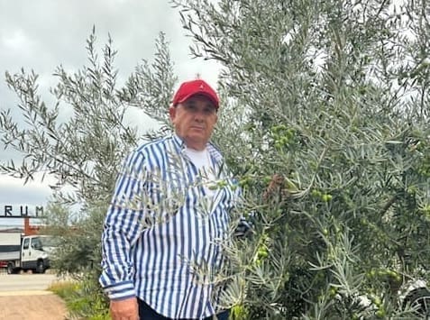 KERUM UDIJELIO PRIJATELJSKI SAVJET Nakon što je obrao masline, savjetuje kako kupiti pravo maslinovo ulje