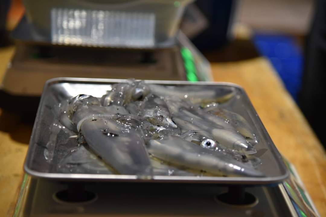 TADA JE UVIJEK SPEKTAKL Kaštelanski listopad tradicionalno je rezerviran za lignjolov