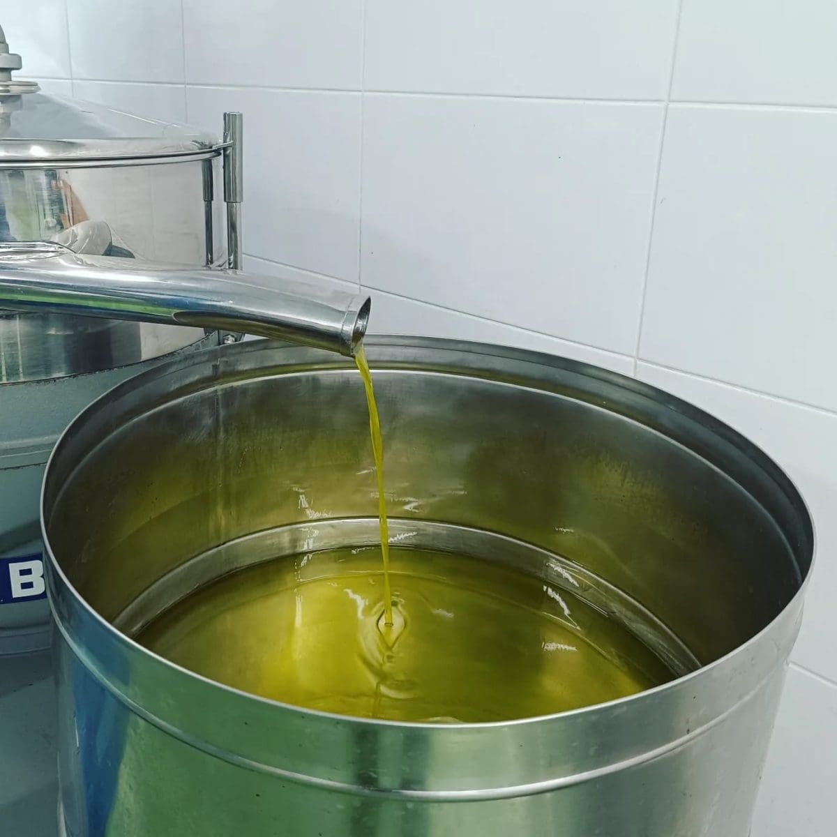 masline obitelj vukusic sestanovac 3 