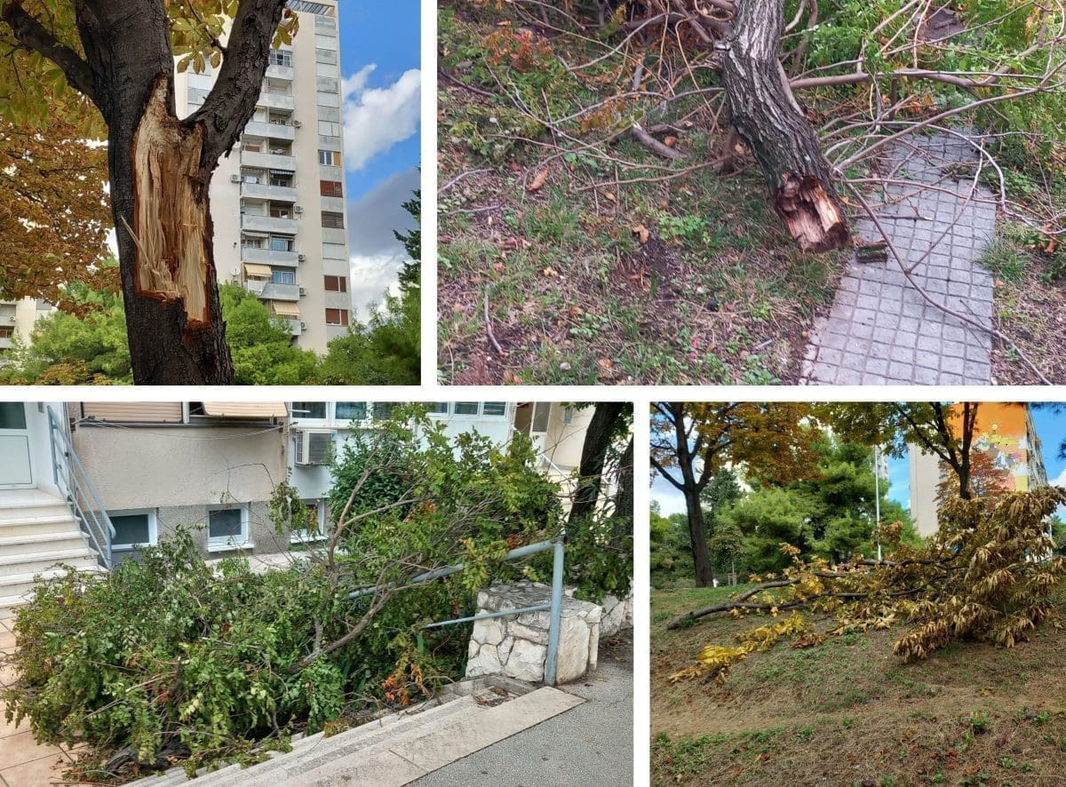 SPLIĆANI, OPREZNO! Grane zaustavile ulaz u zgradu: Hoće li tu ostati zauvijek?