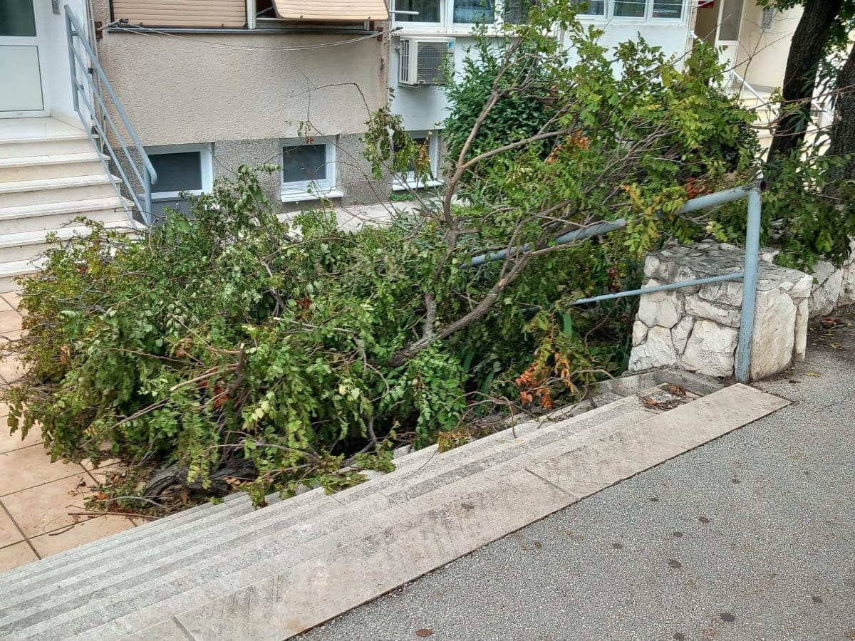 odlomljene grane na putu 5