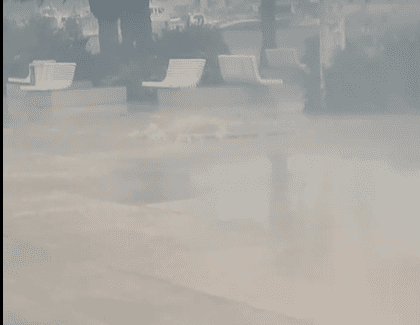 poplavljena riva 2023 4 